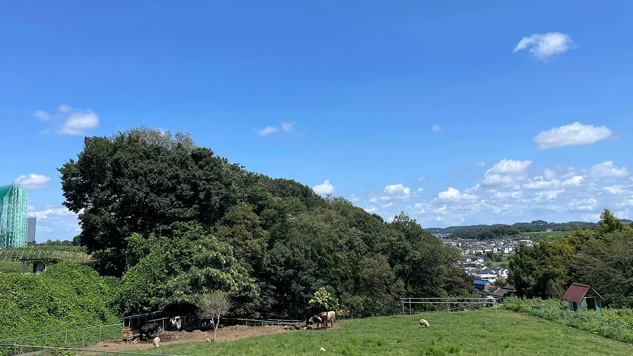 東京で牧場見学